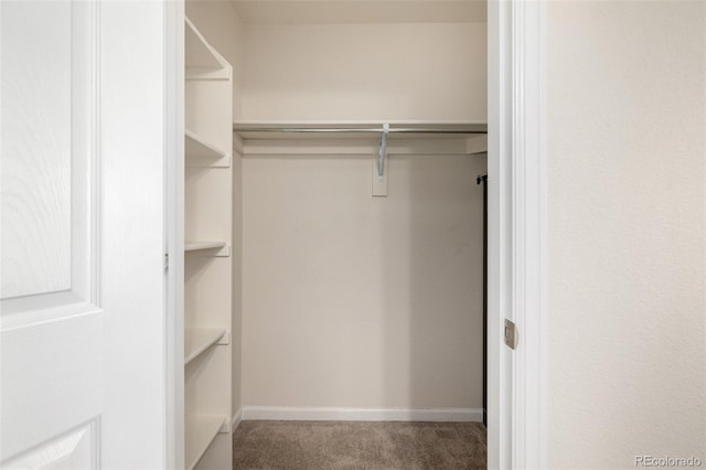 spacious closet with carpet flooring