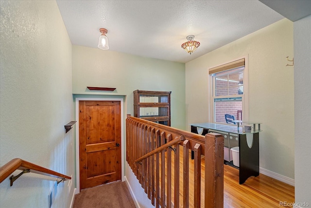 1014 8th St, Golden, CO 80401 - photo 19