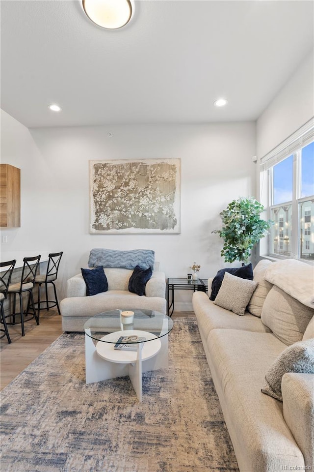 living room with hardwood / wood-style flooring