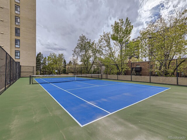 800 Pearl St Unit 204, Denver, CO 80203 - photo 28