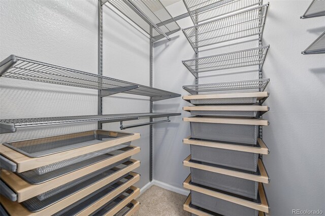 1535 S Florence Way Unit 410, Aurora, CO 80247 - spacious closet featuring carpet