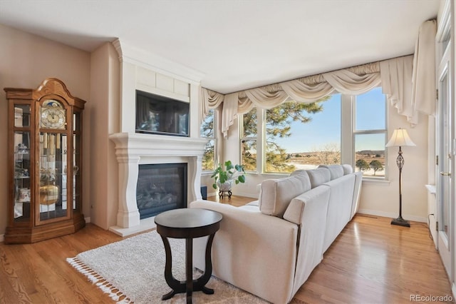 living area featuring a glass covered fireplace, wood finished floors, and baseboards