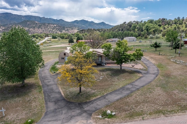 246 Loop Dr, Howard, CO 81233 - view of mountain background