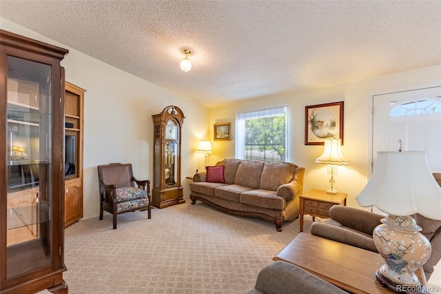 246 Loop Dr, Howard, CO 81233 - living room with a textured ceiling and light colored carpet