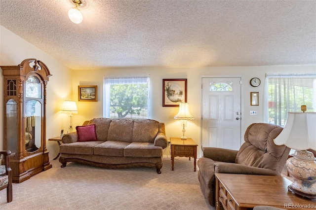 246 Loop Dr, Howard, CO 81233 - living area with a textured ceiling, healthy amount of natural light, and light carpet