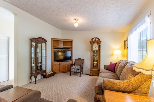 246 Loop Dr, Howard, CO 81233 - carpeted living room with a textured ceiling