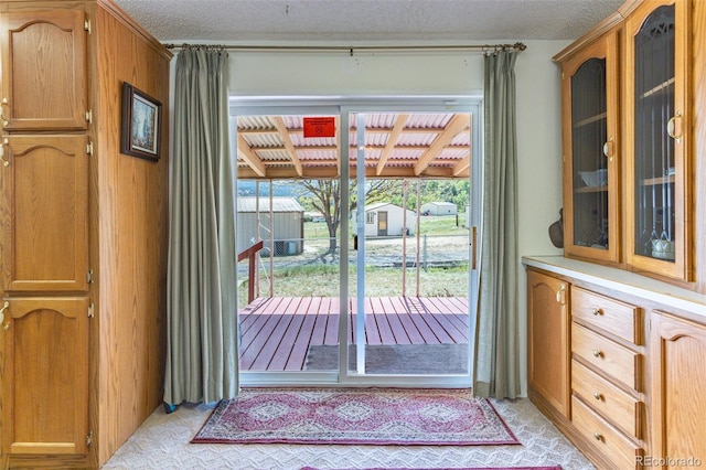 246 Loop Dr, Howard, CO 81233 - doorway with light colored carpet and a textured ceiling