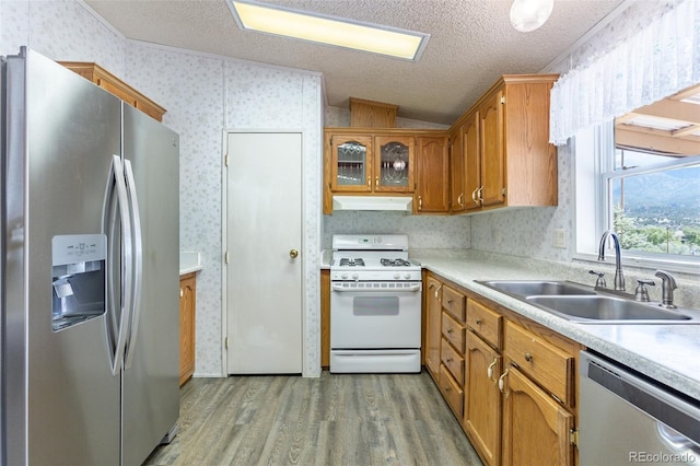 246 Loop Dr, Howard, CO 81233 - kitchen featuring stainless steel appliances, wallpapered walls, under cabinet range hood, a sink, and light wood-style flooring