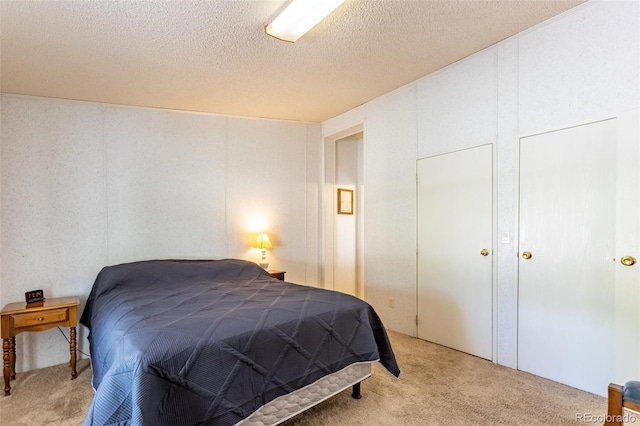 246 Loop Dr, Howard, CO 81233 - bedroom with light carpet and a textured ceiling