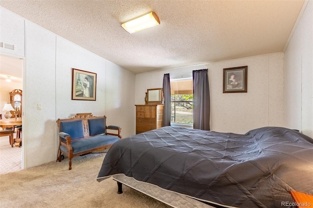 246 Loop Dr, Howard, CO 81233 - bedroom with light colored carpet and a textured ceiling