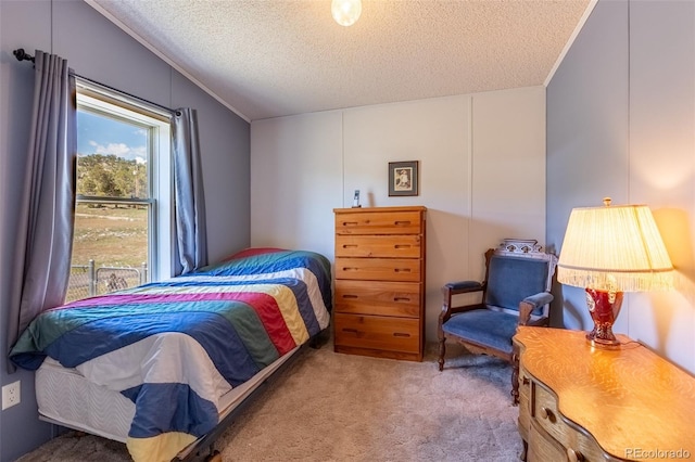 246 Loop Dr, Howard, CO 81233 - carpeted bedroom with a textured ceiling and crown molding