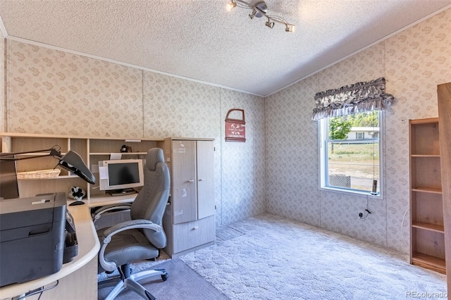 246 Loop Dr, Howard, CO 81233 - office space with crown molding, a textured ceiling, carpet floors, and wallpapered walls