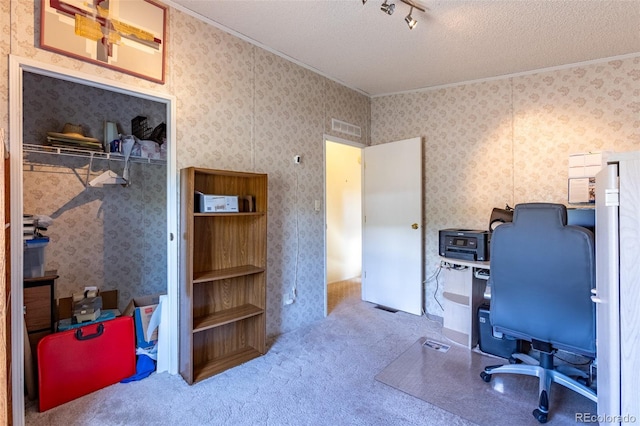 246 Loop Dr, Howard, CO 81233 - office space with ornamental molding, a textured ceiling, and carpet flooring