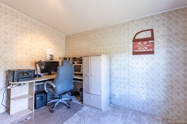 246 Loop Dr, Howard, CO 81233 - carpeted home office with ornamental molding and a textured ceiling