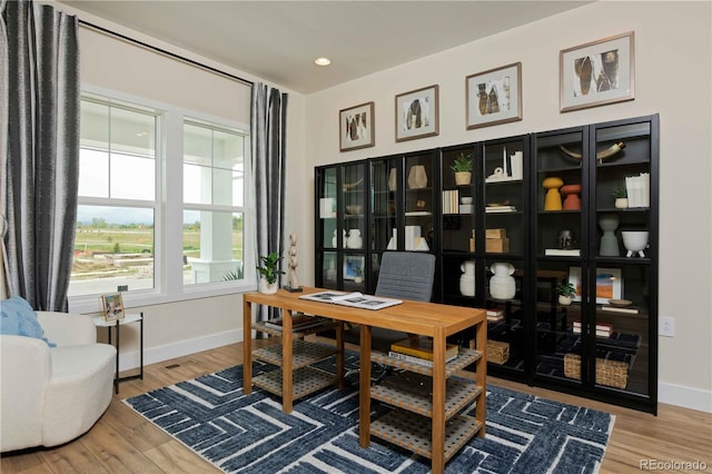 office space featuring hardwood / wood-style floors