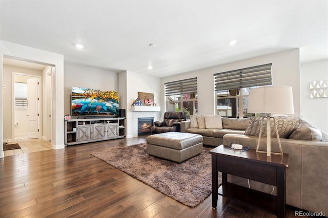 living room featuring hardwood / wood-style floors