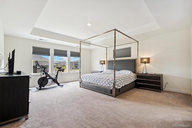 bedroom featuring carpet floors and a tray ceiling