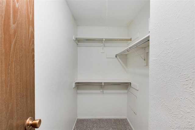 3961 S Uravan St, Aurora, CO 80013 - walk in closet with carpet