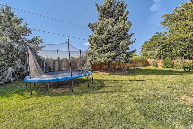 view of yard featuring a trampoline