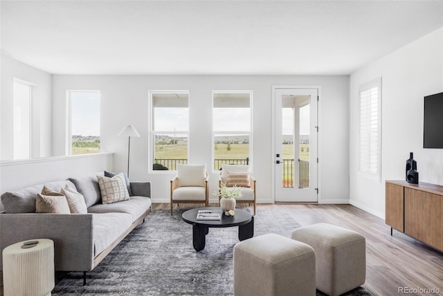15006 Cast Pebble Cir, Parker, CO 80134 - living room with wood finished floors and baseboards