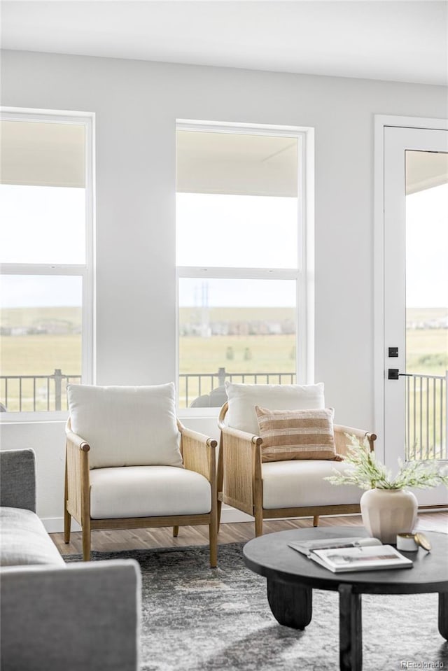 15006 Cast Pebble Cir, Parker, CO 80134 - living area featuring plenty of natural light and wood finished floors