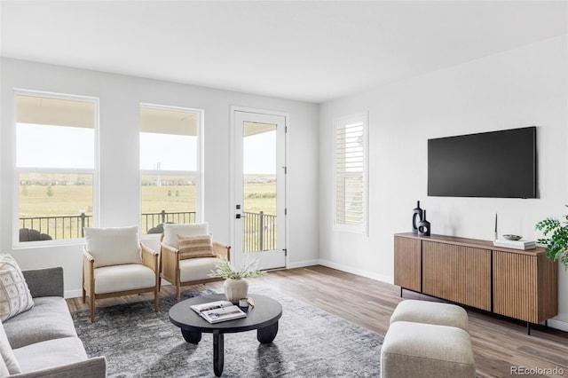 15006 Cast Pebble Cir, Parker, CO 80134 - living room featuring wood finished floors and baseboards