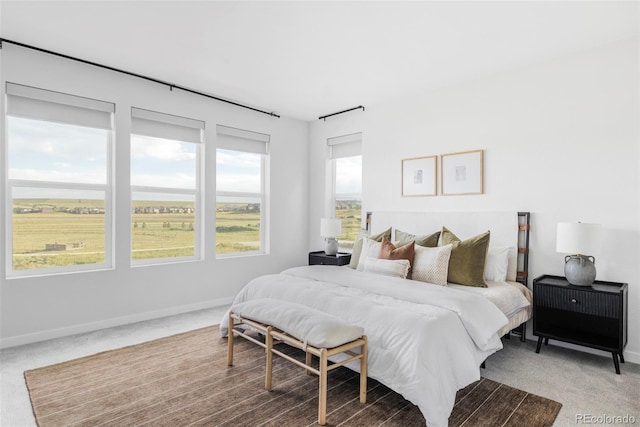 15006 Cast Pebble Cir, Parker, CO 80134 - carpeted bedroom featuring baseboards