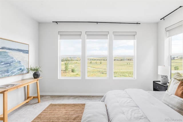 15006 Cast Pebble Cir, Parker, CO 80134 - carpeted bedroom with baseboards
