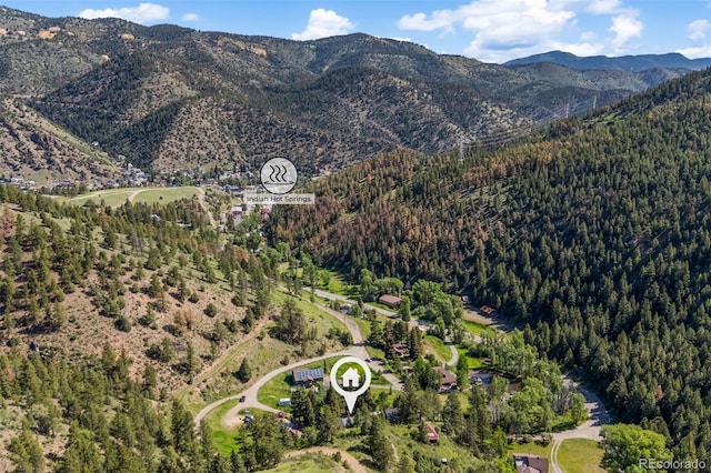 55 Two Moon Rd, Idaho Springs, CO 80452 - mountain view with a forest