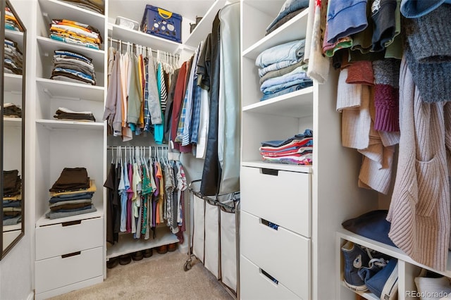 spacious closet with light colored carpet