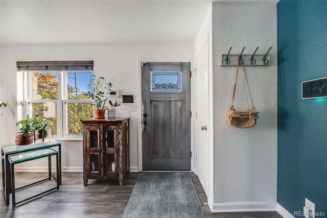 foyer entrance with dark wood-type flooring