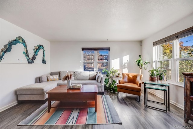 living room featuring dark hardwood / wood-style flooring and a textured ceiling