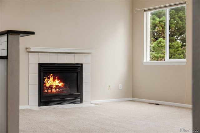 9417 Burgundy Cir, Highlands Ranch, CO 80126 - detailed view of carpet and a fireplace
