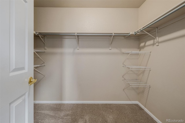9417 Burgundy Cir, Highlands Ranch, CO 80126 - walk in closet featuring carpet
