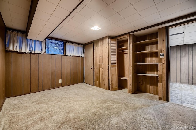 interior space with wooden walls and carpet flooring