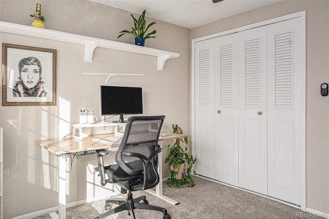 office space with carpet flooring and baseboards