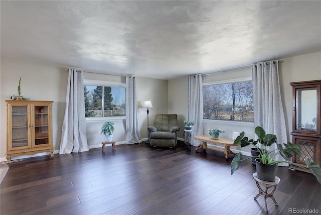 sitting room featuring dark hardwood / wood-style flooring