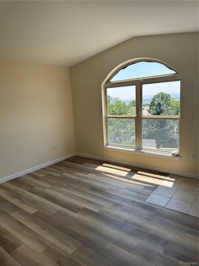 empty room featuring lofted ceiling and wood-type flooring