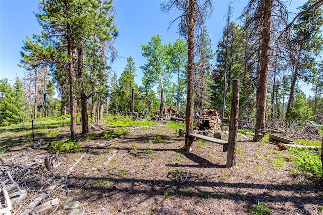 27164 Grey Moose Trl, Conifer, CO 80433 - photo 20
