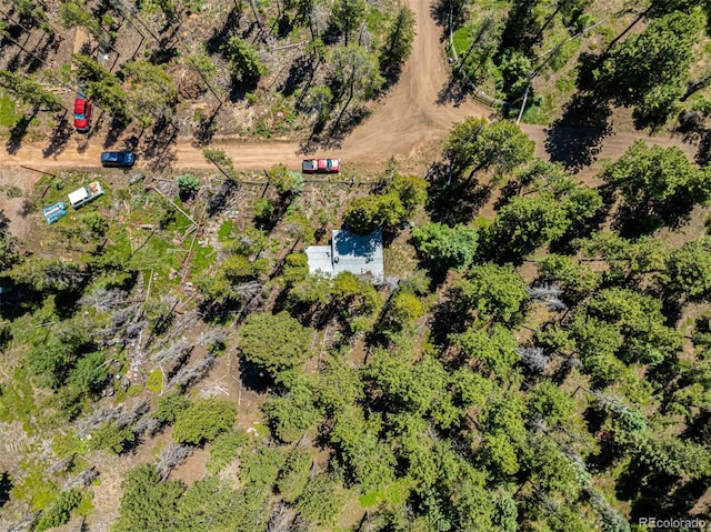 27164 Grey Moose Trl, Conifer, CO 80433 - photo 22