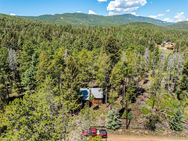 27164 Grey Moose Trl, Conifer, CO 80433 - photo 23