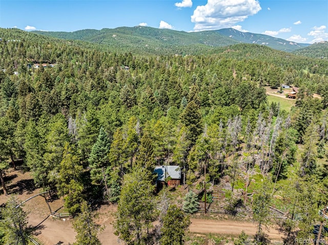 27164 Grey Moose Trl, Conifer, CO 80433 - photo 24