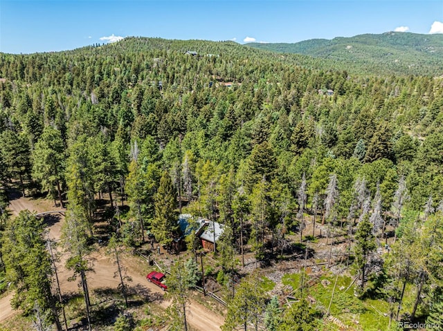 27164 Grey Moose Trl, Conifer, CO 80433 - photo 25