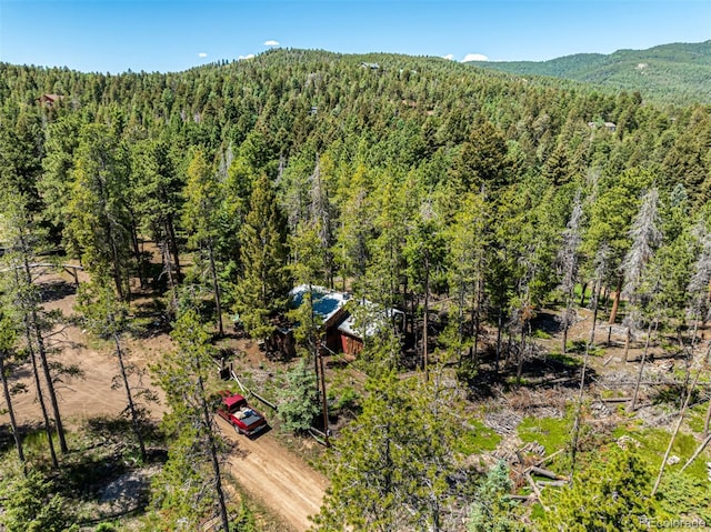 27164 Grey Moose Trl, Conifer, CO 80433 - photo 26