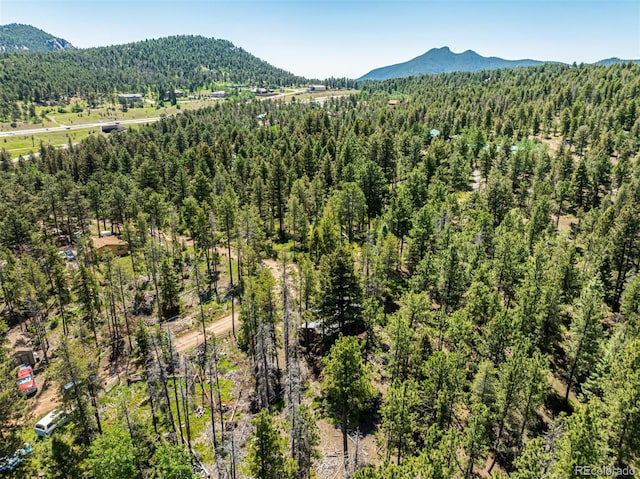 27164 Grey Moose Trl, Conifer, CO 80433 - photo 27