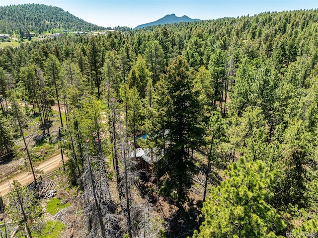 27164 Grey Moose Trl, Conifer, CO 80433 - photo 28