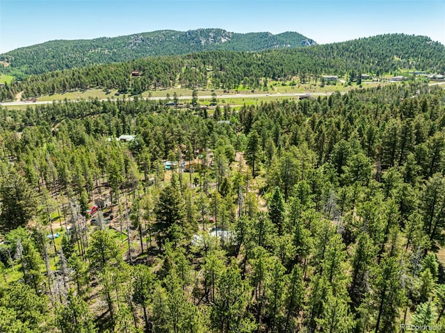 27164 Grey Moose Trl, Conifer, CO 80433 - photo 29
