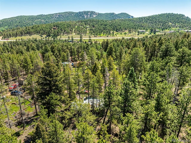 27164 Grey Moose Trl, Conifer, CO 80433 - photo 30