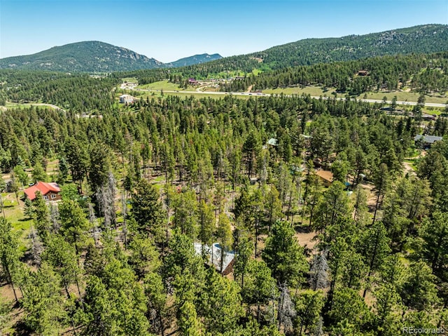 27164 Grey Moose Trl, Conifer, CO 80433 - photo 31