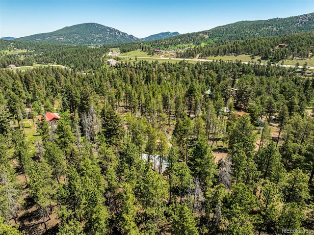 27164 Grey Moose Trl, Conifer, CO 80433 - photo 32